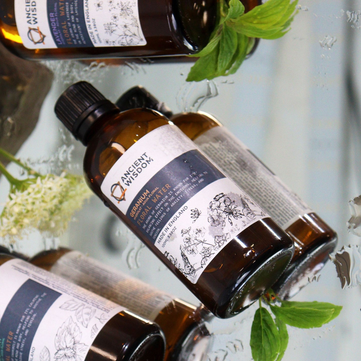 Hydrolat - Géranium